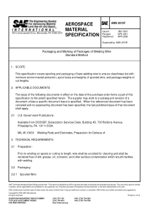 SAE-AMS-2813F-2001-R20061