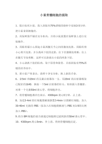 小鼠骨髓细胞提取及培养