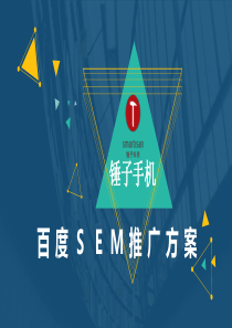 SEM方案