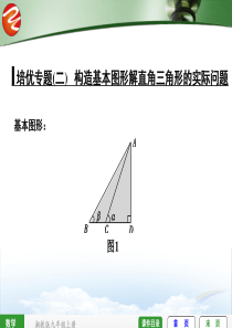 培优专题(二) 构造基本图形解直角三角形的实际问题