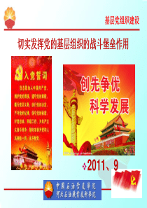 基层党组织建设