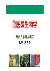 兽医微生物学