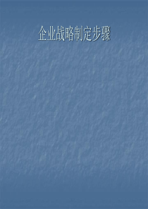 企业战略规划流程指导