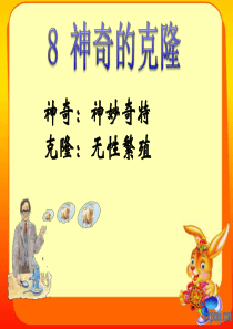 苏教版五年级下册《神奇的克隆》PPT课件1【www.edudown.net】