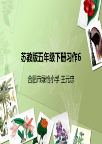 苏教版五年级下册习作6