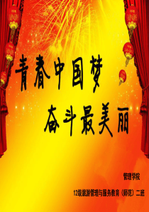 青春中国梦奋斗最美丽大学主题团日活动PPT