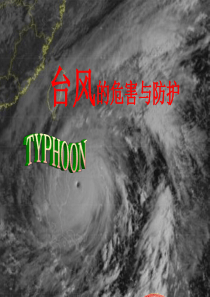 台风的危害与防护