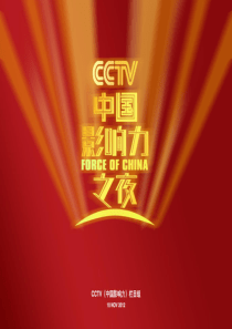 中国影响力之夜2013财富峰会