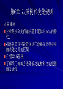 第6章决策树
