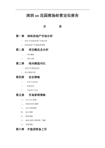 深圳xx花园商场经营定位报告