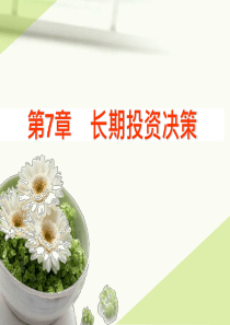 第7章投资决策原理2