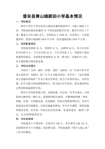 小学学校基本情况