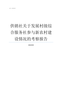 供销社关于发展村级综合服务社参与新农村建设情况的考察报告供销社村级基层社