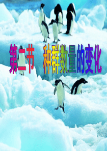 种群数量的变化PPT课件