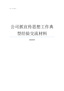 公司抓宣传思想工作典型经验交流材料元典思想