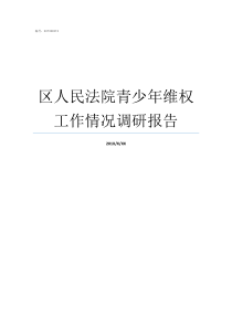 区人民法院青少年维权工作情况调研报告
