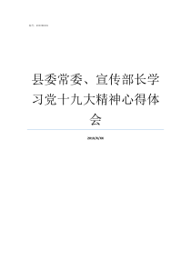 县委常委宣传部长学习党十九大精神心得体会