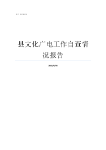 县文化广电工作自查情况报告广电