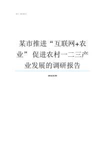 某市推进互联网农业nbsp促进农村一二三产业发展的调研报告