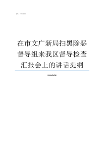 在市文广新局扫黑除恶督导组来我区督导检查汇报会上的讲话提纲文广新局怎么样