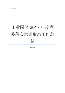 工业园区2017年度党委落实意识形态工作总结2019年度