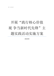 开展践行核心价值观nbsp争当新时代先锋主题实践活动实施方案践行价值观