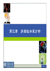 第三章多属性决策分析