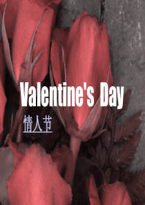 Valentines-Day-情人节