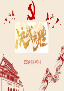 党支部2020年两会精神学习
