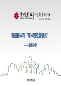 稻盛和夫和阿米巴经营