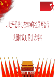 习近平总书记在2020年全国两会代表团审议时的讲话