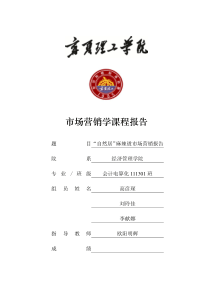 市场营销报告