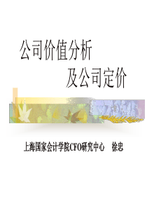 公司价值分析及公司定价(2)