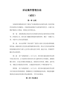 控股集团诉讼案件管理办法(试行)