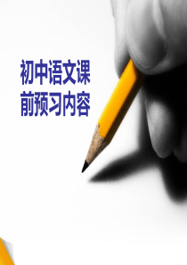 初中语文课前预习内容