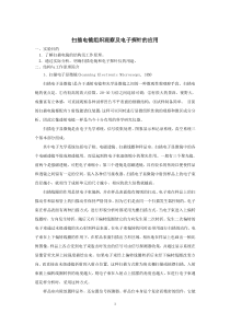 扫描电镜组织观察及电子探针的应用