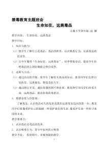 小学禁毒主题教育课主题班会教案