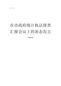 在市政府统计执法督查汇报会议上的表态发言市政府督查室有实权吗