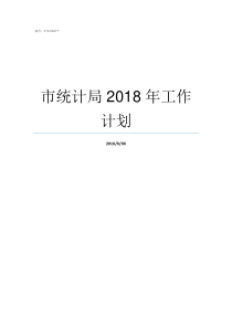 市统计局2018年工作计划