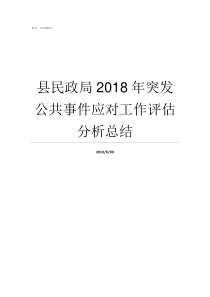 县民政局2018年突发公共事件应对工作评估分析总结县民政局
