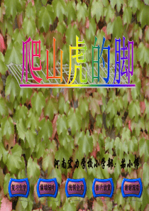 《爬山虎的脚》ppt课件6