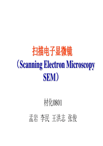 扫描电子显微镜ppt