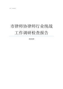 市律师协律师行业统战工作调研检查报告