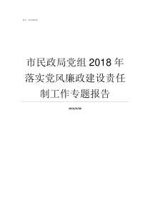 市民政局党组2018年落实党风廉政建设责任制工作专题报告