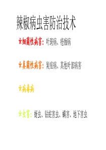 辣椒病虫害防治技术(3)