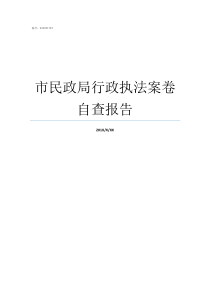 市民政局行政执法案卷自查报告