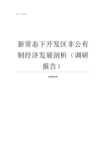 新常态下开发区非公有制经济发展剖析调研报告新常态下的创新思路