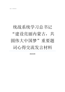 统战系统学习总书记建设亮丽内蒙古共圆伟大中国梦重要题词心得交流发言材料