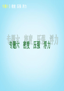 2014届中考物理第一轮专题专练《专题六 密度 压强 浮力》(要点聚析)课件 苏科版