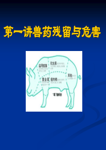 兽药残留与危害模板